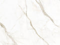 Calacatta Oro Venato Laminam