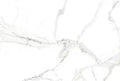 Calacatta Venice Raphael Porcelain