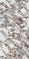 Calacatta Viola Infinity