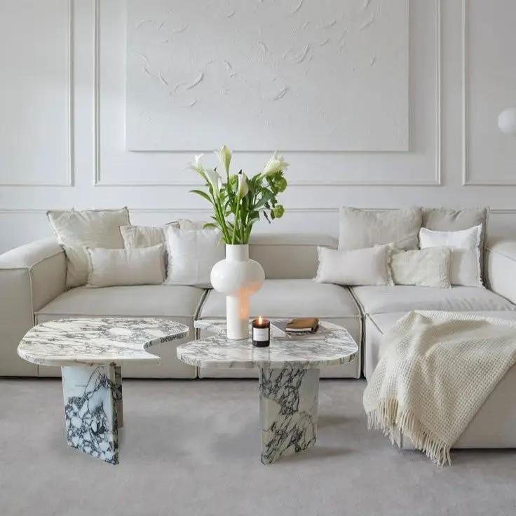 Calacatta Viola marble coffee tables set of 2, polished surfaces with gray veining by Villohome