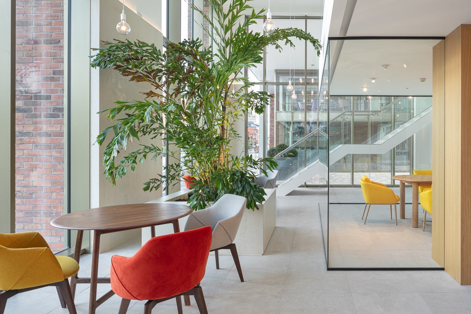 Danae Dekton