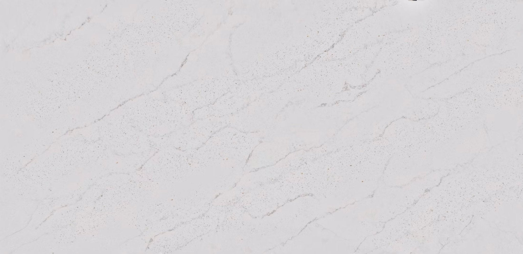 Eclectic Pearl Silestone