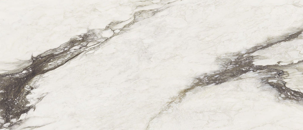 Etoile Renoir Magnum