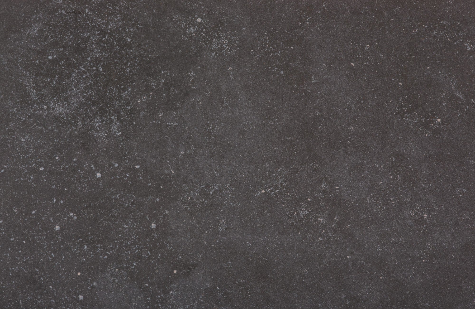 Fossil Dekton