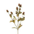 Globe Amaranth Spray