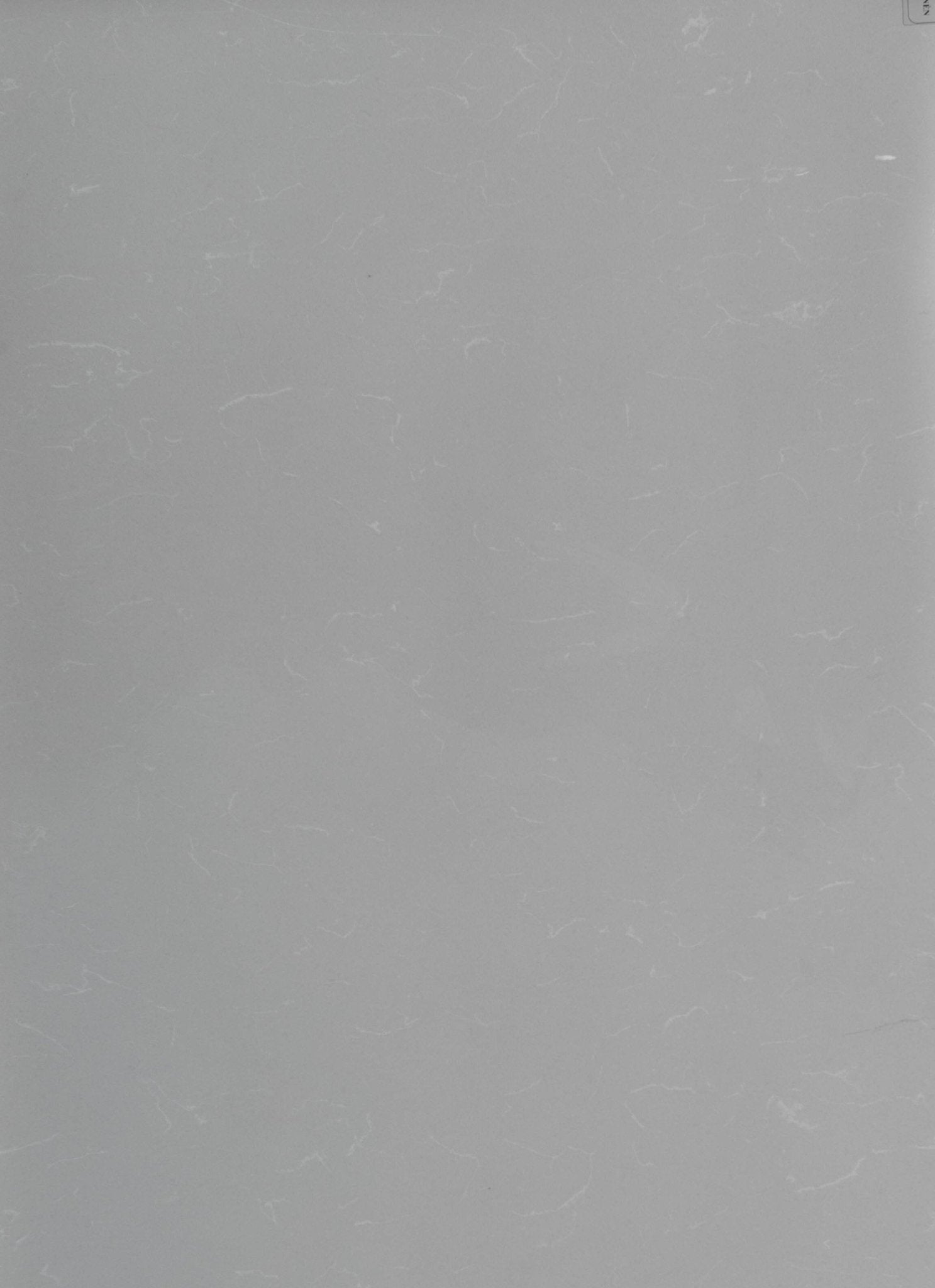 Grey Savoie Vicostone