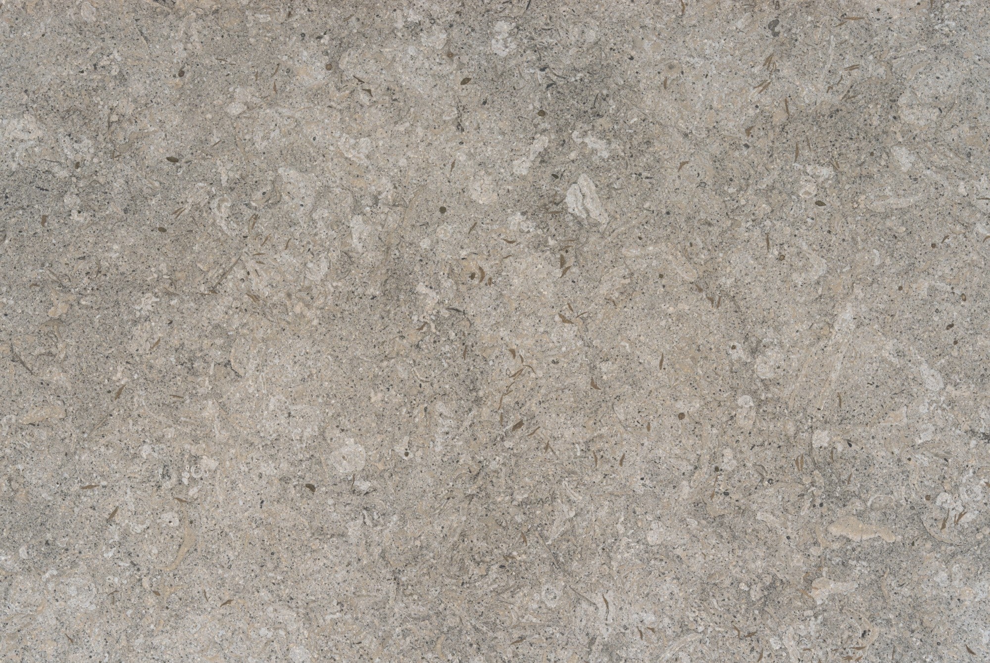 Grigio Dekton