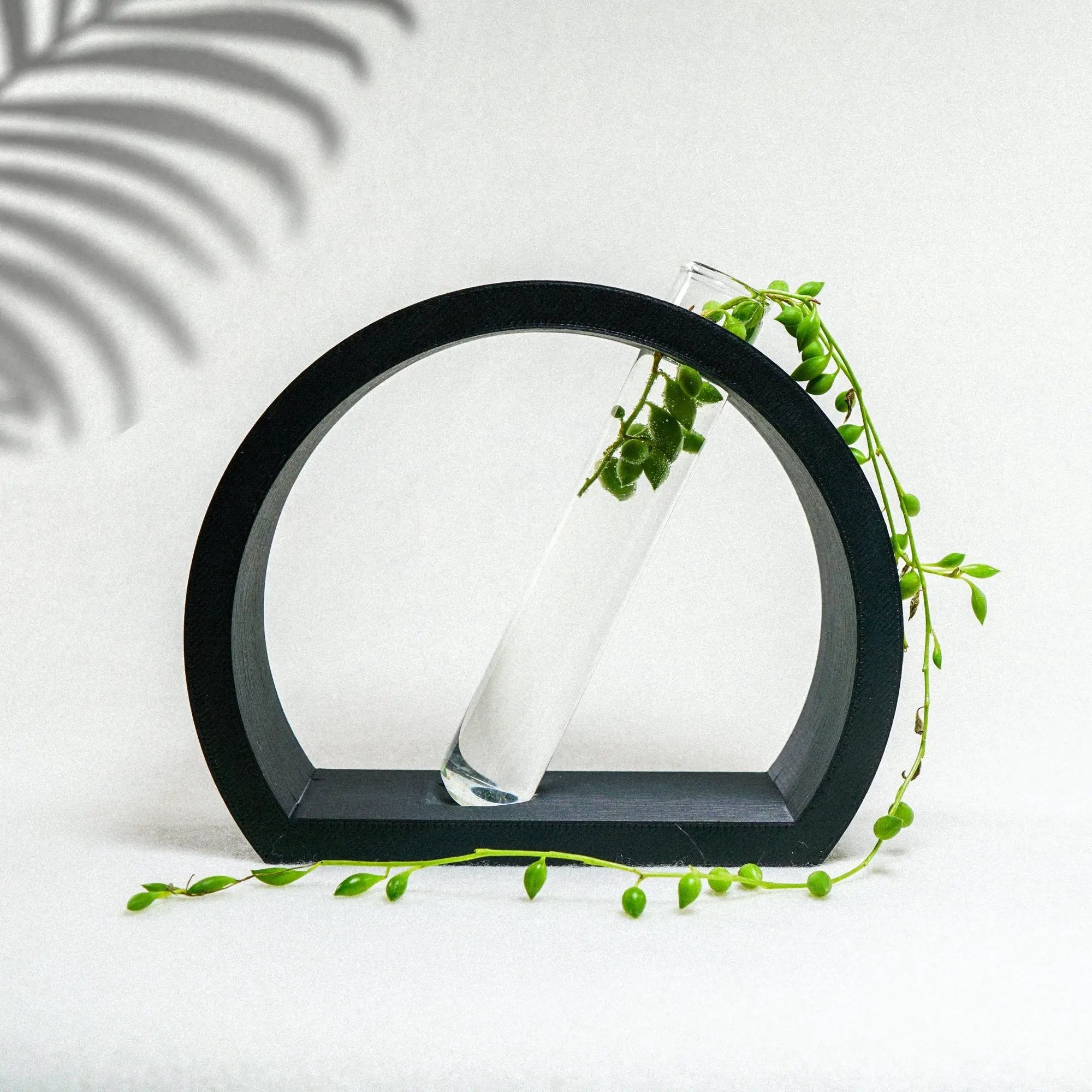 Half-Moon Propagation