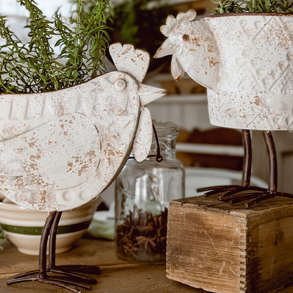 Indoor/Outdoor Distressed Hen Planter, Choose Your Style