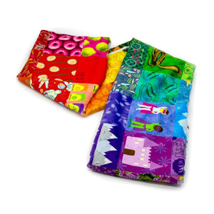 Hidden Pictures Blue Minky Quilt Panel, Block Party Quilt Co, 2 multicolor fabric panels