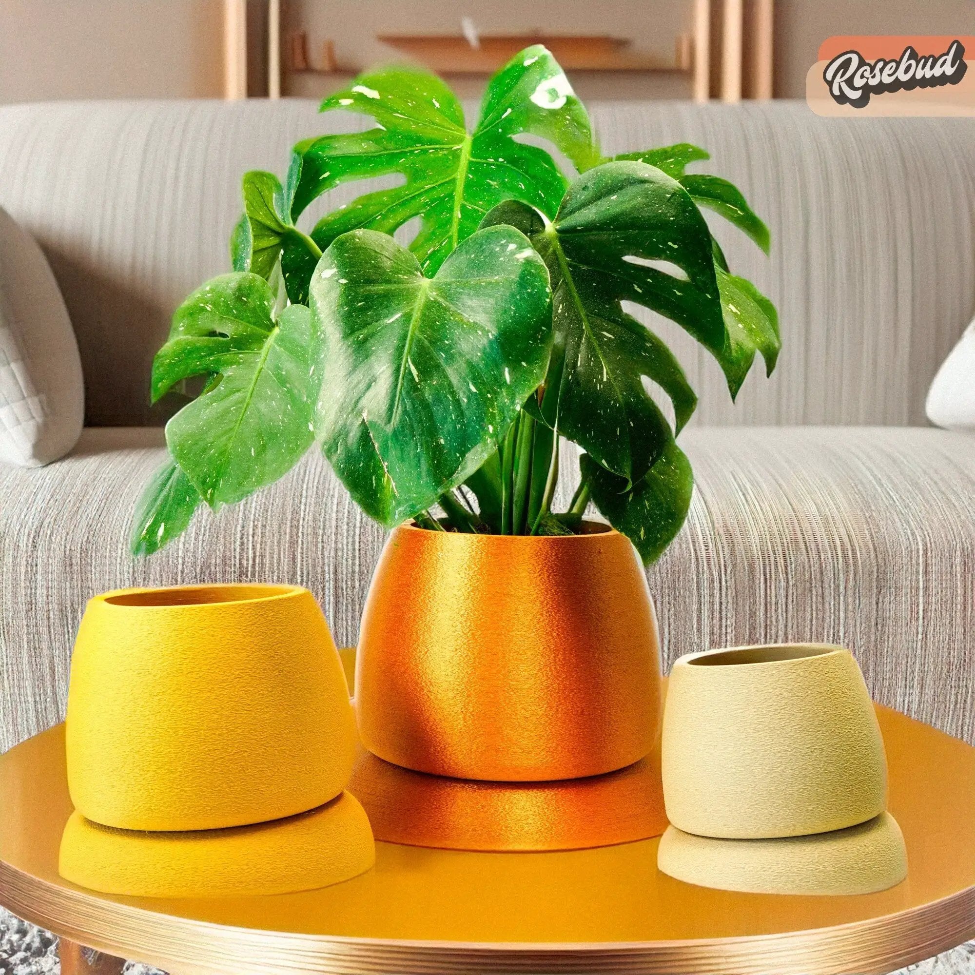 Nubium Planter