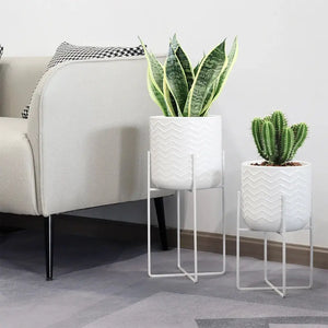 Set of 2 white planters with metal stands; zigzag textured pots holding a snake plant and a cactus.