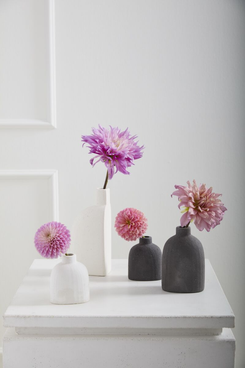 Karis Budvase