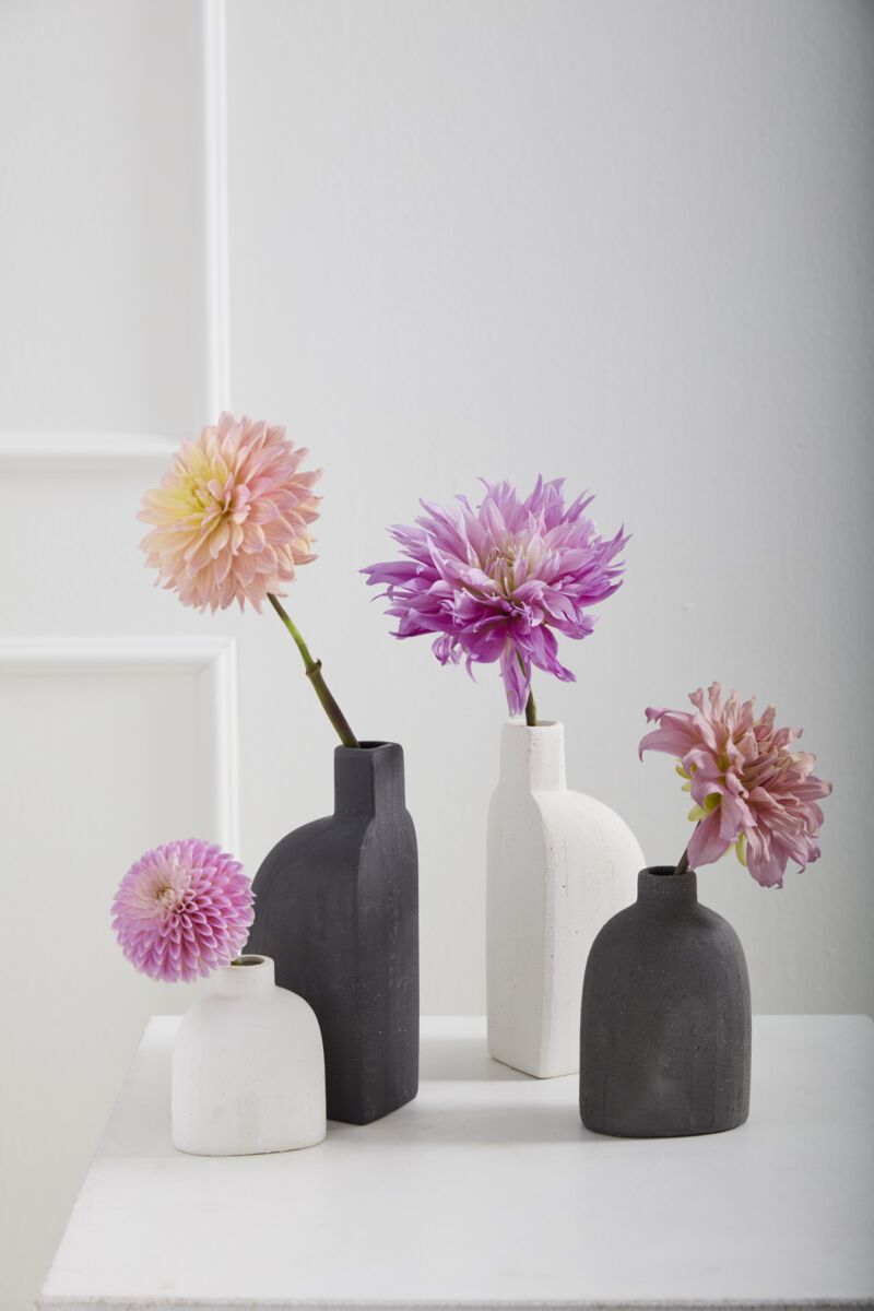 Karis Budvase