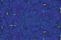 Lapis Azuli Gemstone