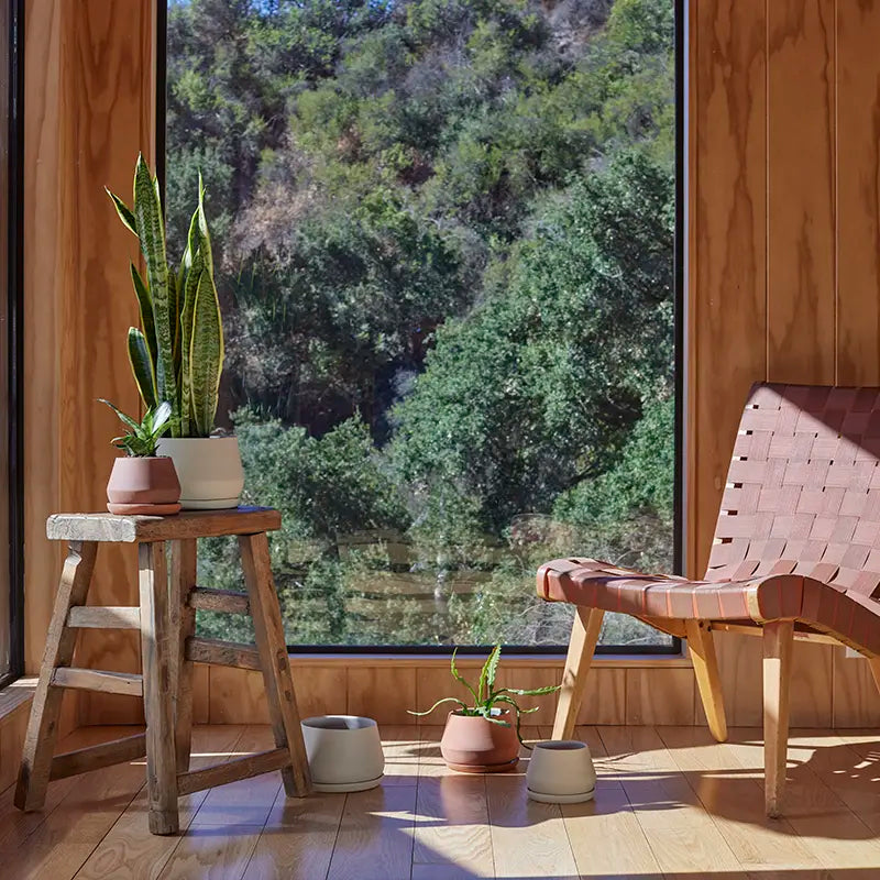 Rancho Planter