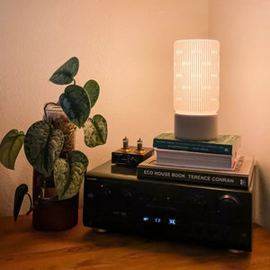 Liunk table lamp by Terra Labs; white ribbed shade atop a gray base beside a plant and books