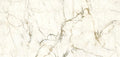 Macchia Vecchia Sapienstone