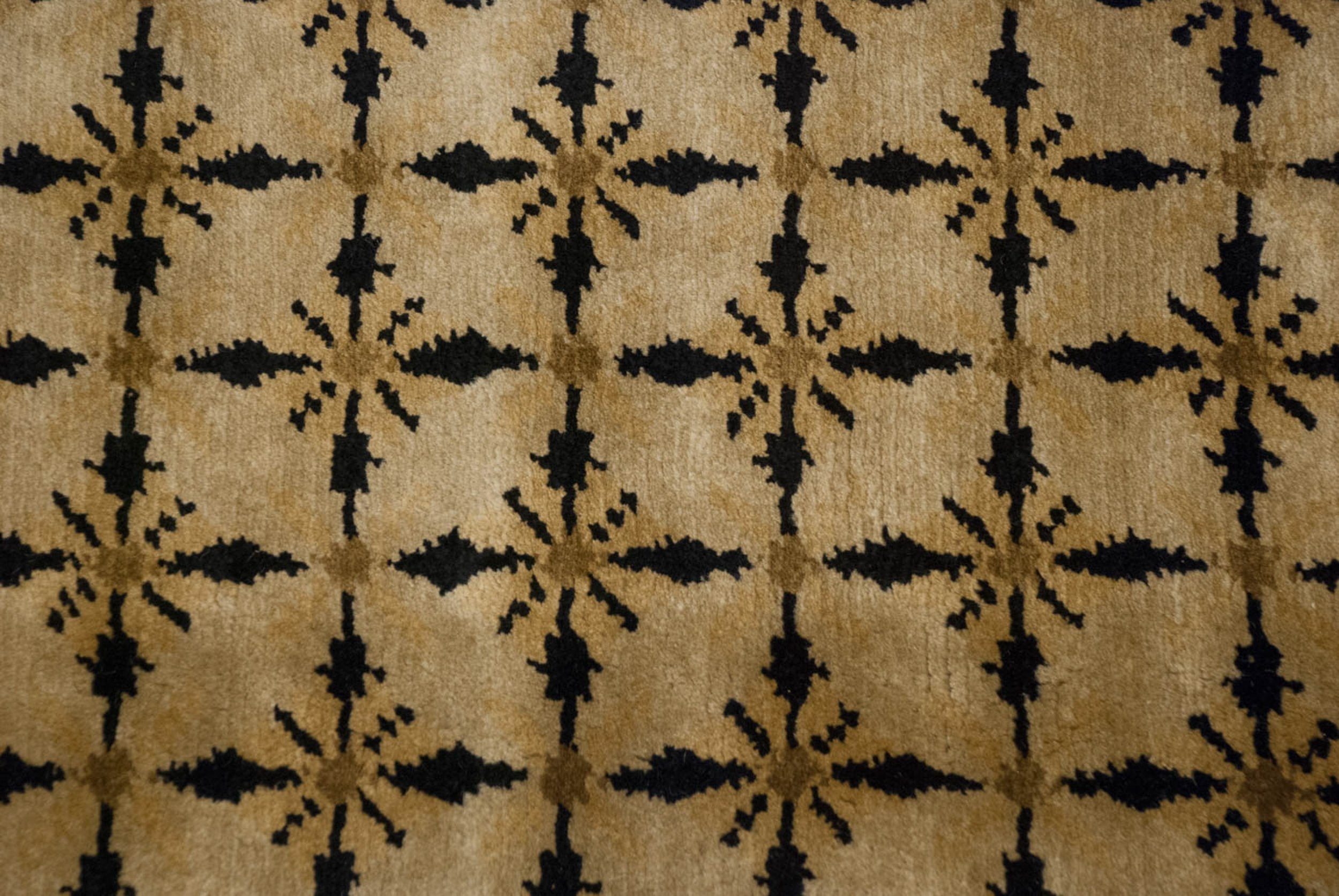 10x14.5 Indian Savonnerie Design Carpet