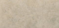 Mosstone Caesarstone