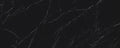 Nero Marquina Raphael Porcelain