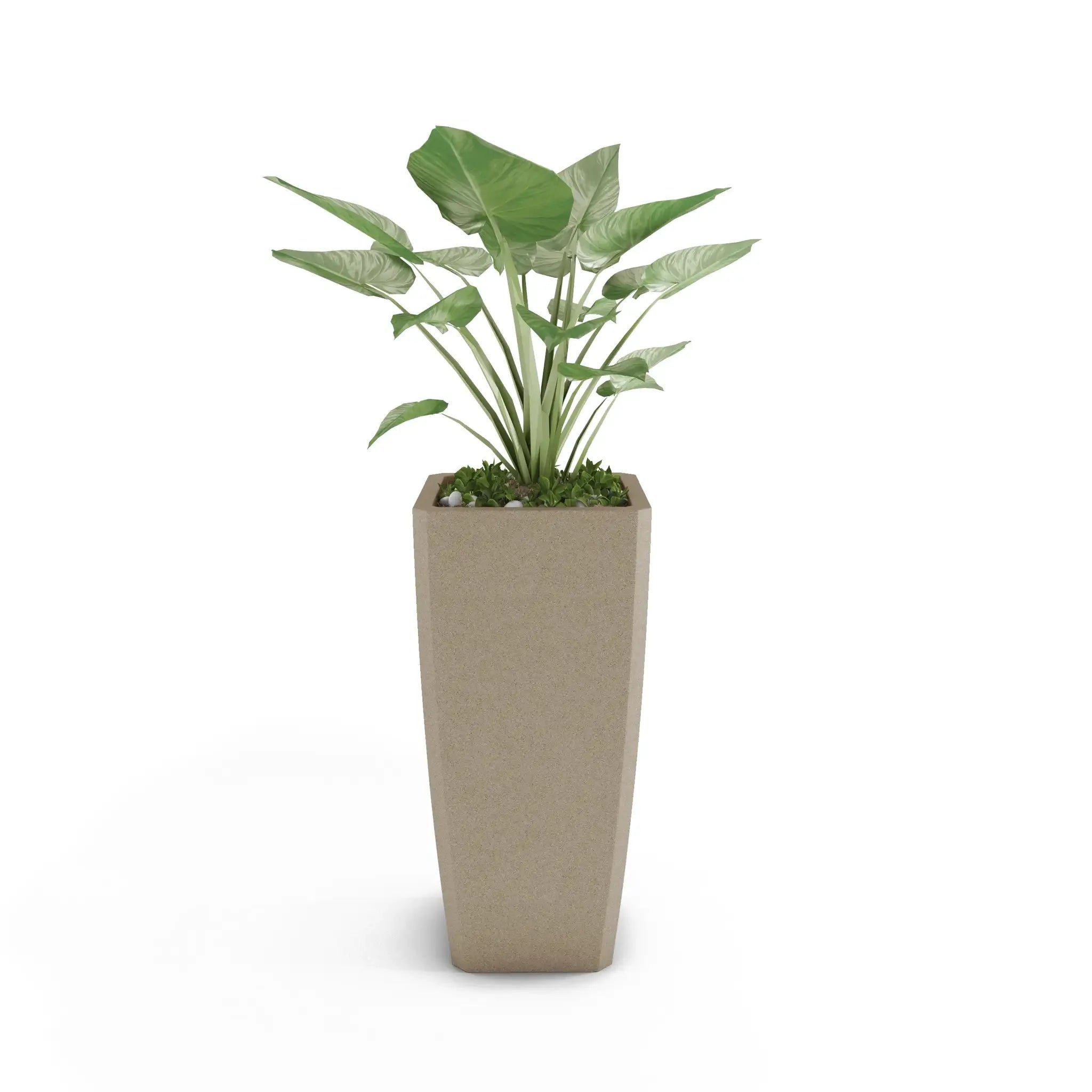 Quartet Planter