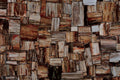 Retro Petrified Wood Precious Stone