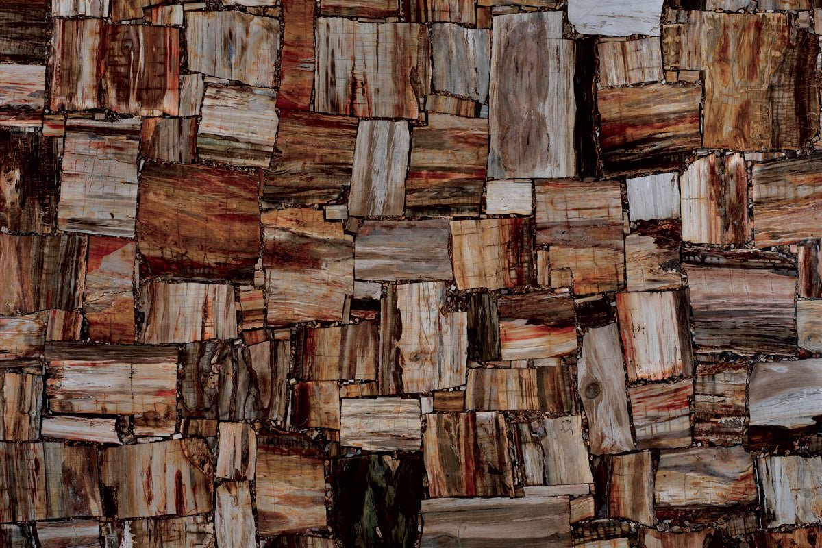 Retro Petrified Wood Precious Stone