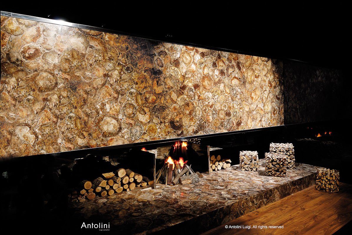 Retro Petrified Wood Precious Stone
