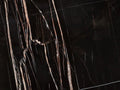 Sahara Noir Extra Marble