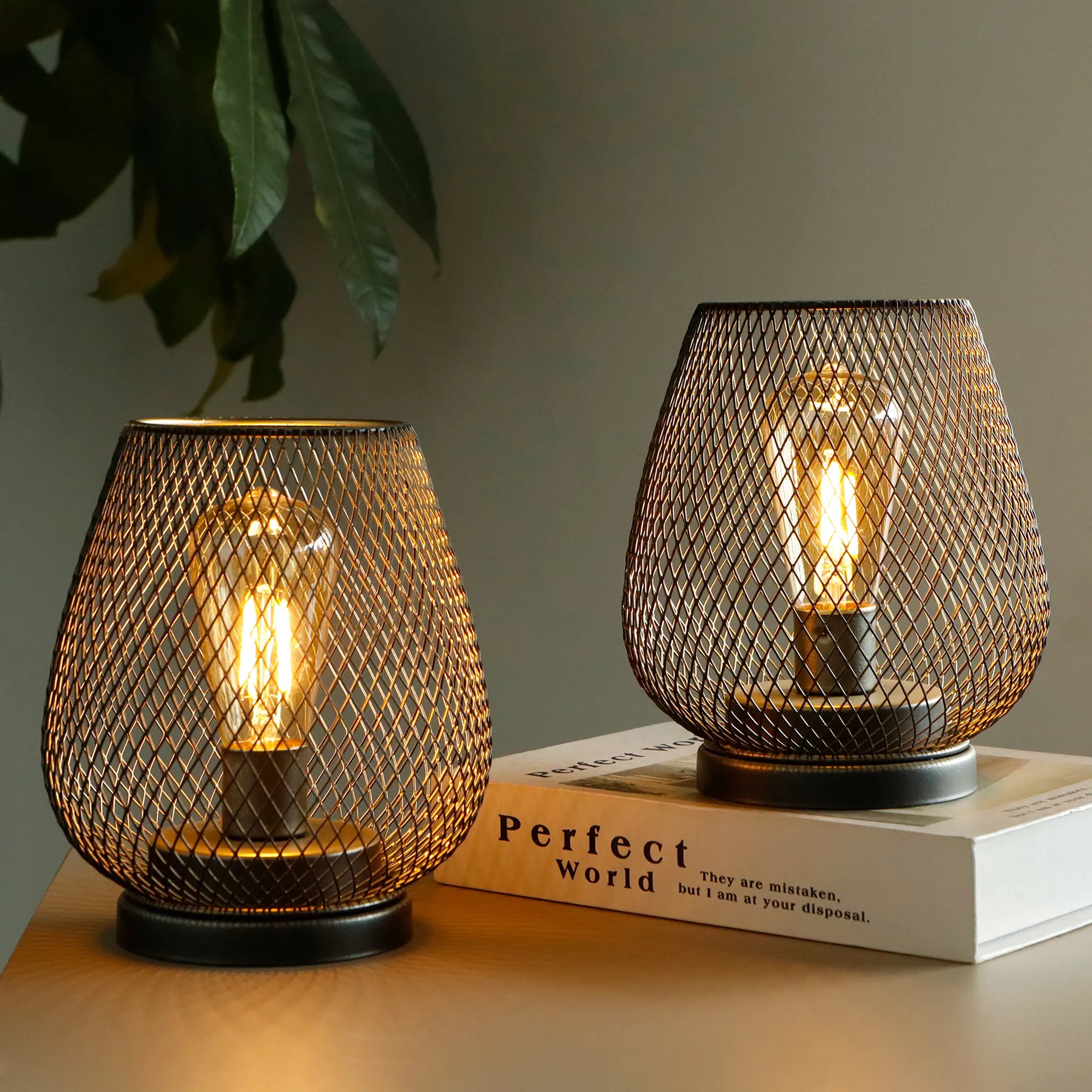 Table lamp set of 2, brown metal wire lamps by JHY DESIGN, battery-operated with warm Edison bulbs.