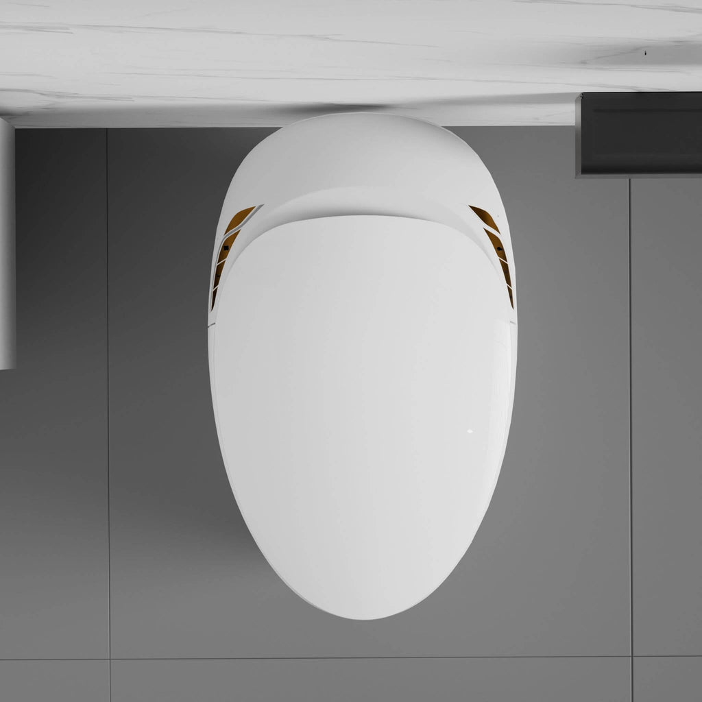 Smart One-Piece Toilet With Bidet, Foot Sensor, LED Display And Dryer (SAK80112)