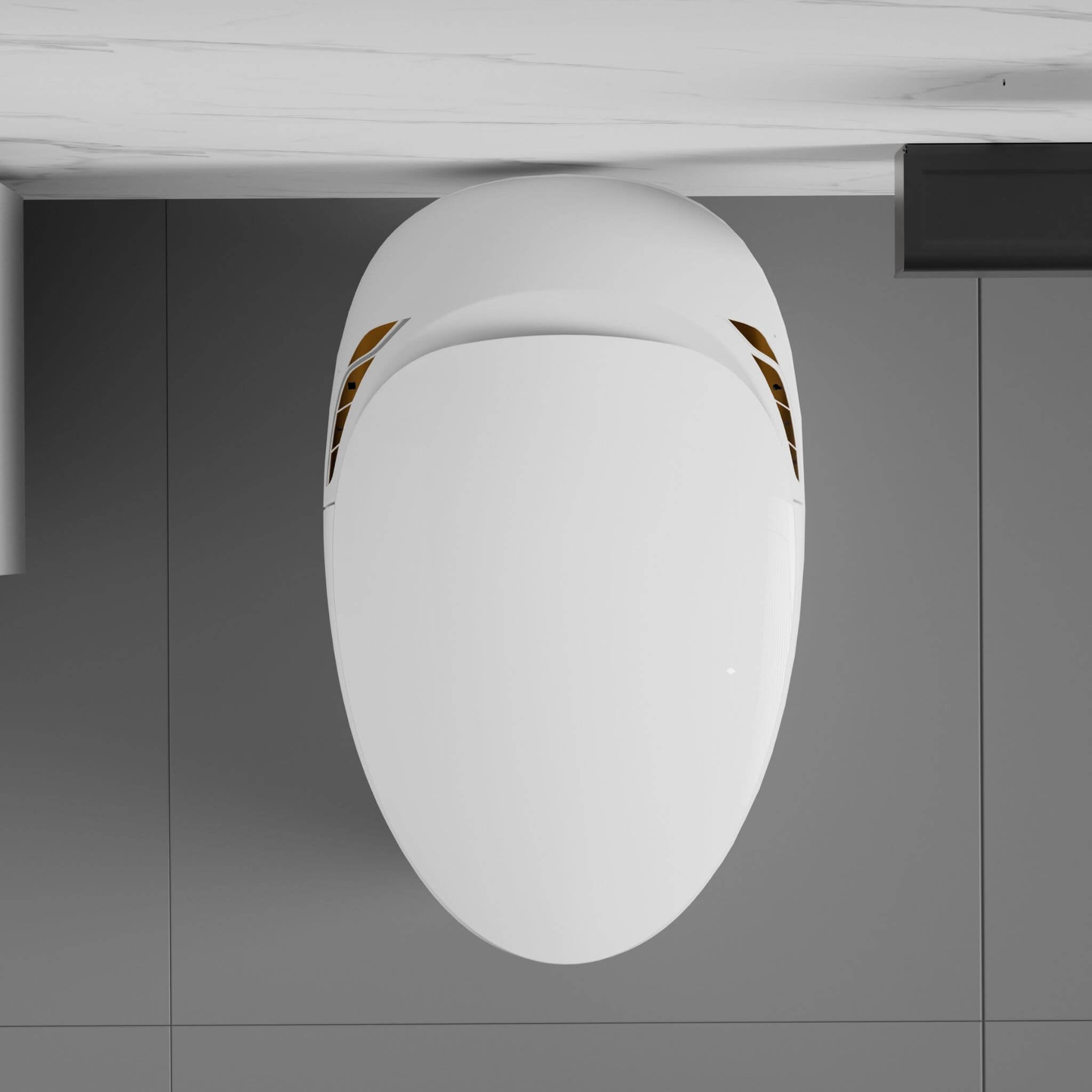 Smart One-Piece Toilet With Bidet, Foot Sensor, LED Display And Dryer (SAK80112)