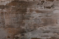 Trilium Dekton