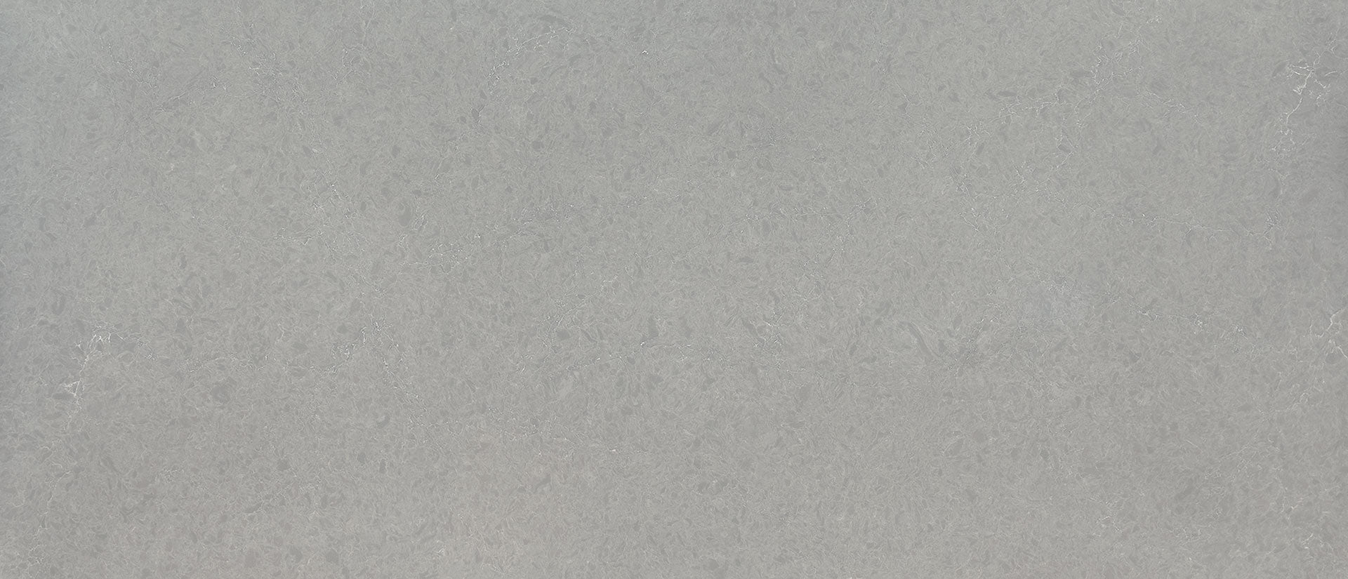 Vena Carbona Msi Q