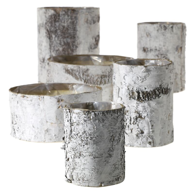 White Birch Cylinder