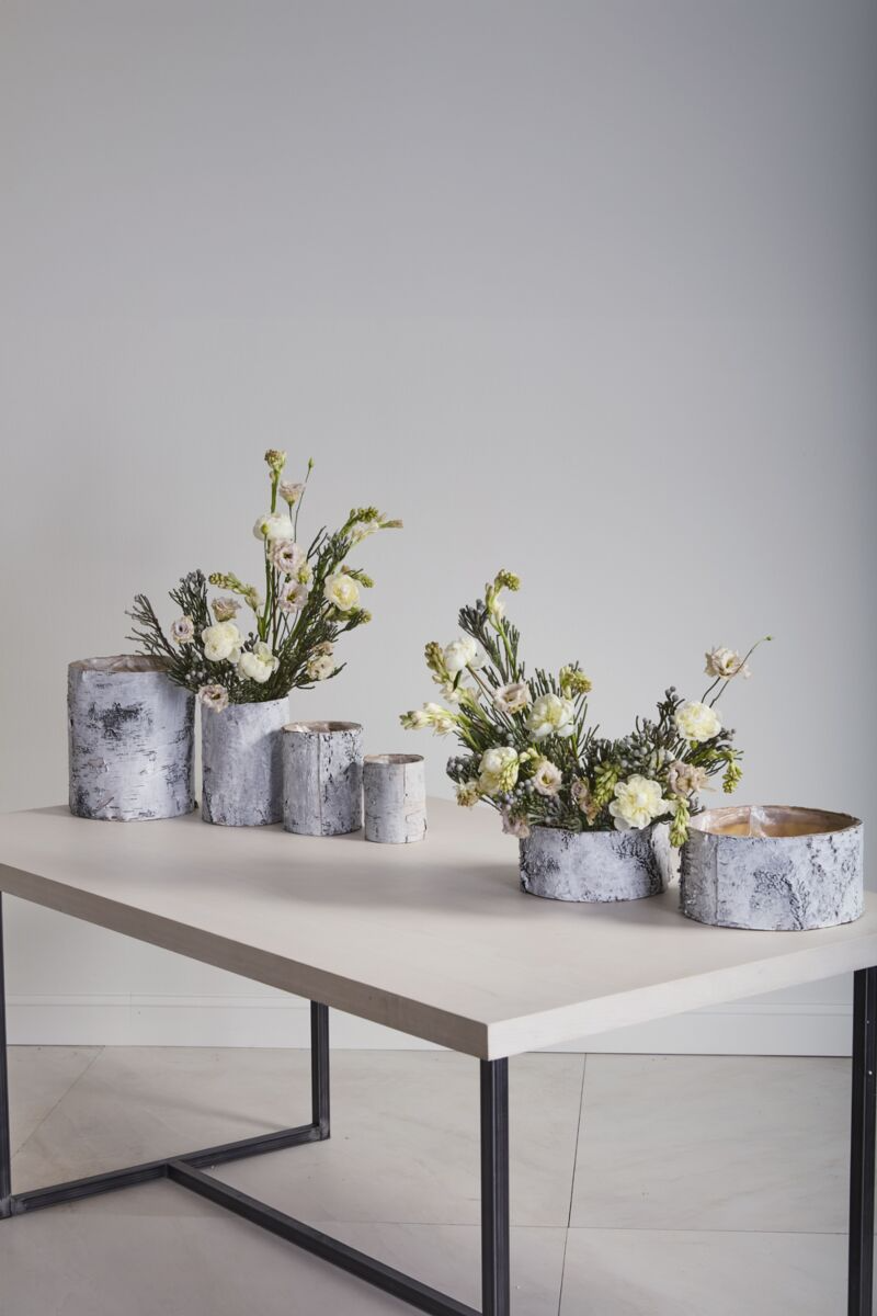 White Birch Bowl