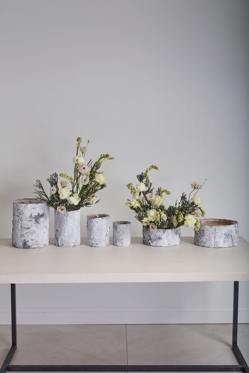 White Birch Cylinder