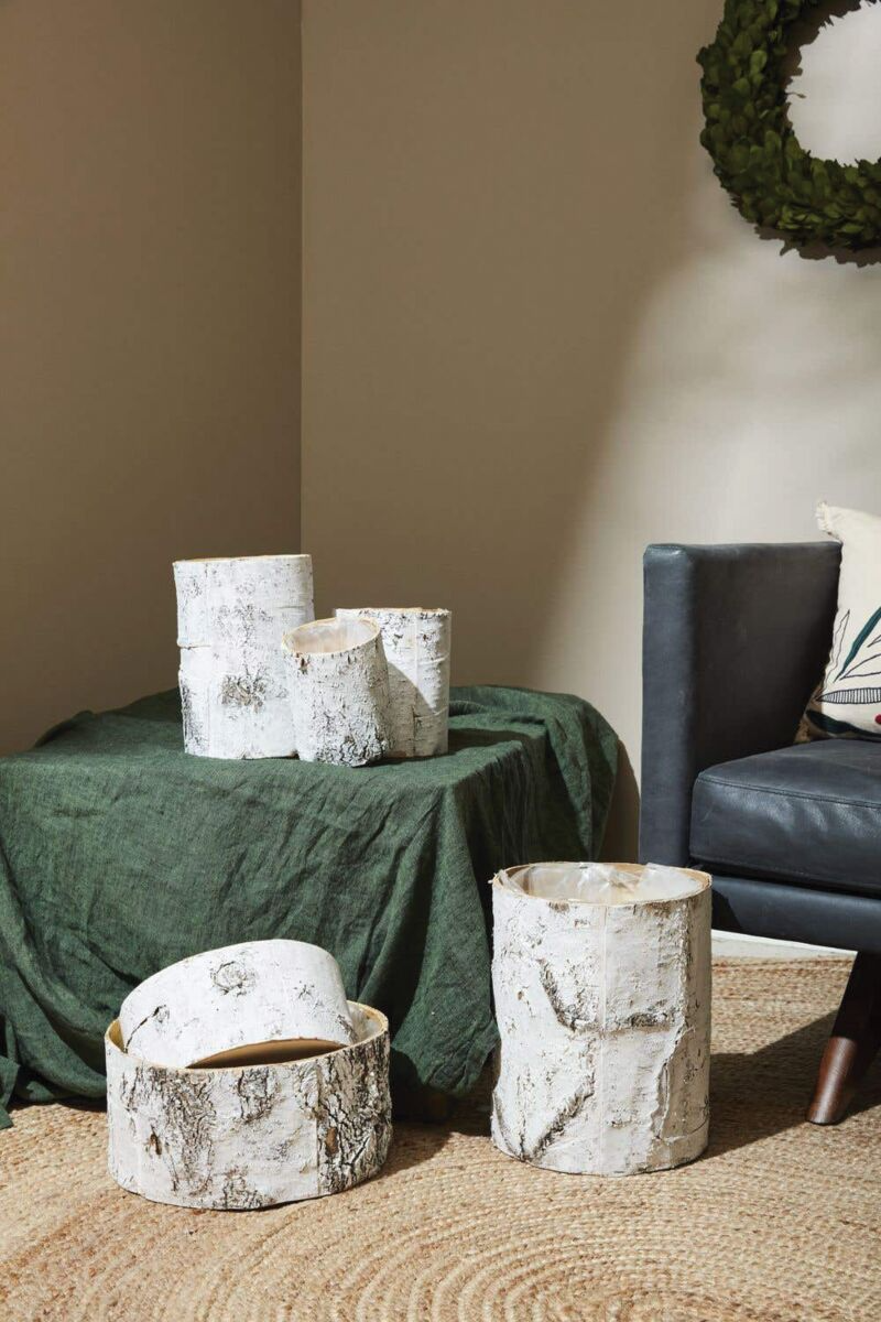 White Birch Cylinder