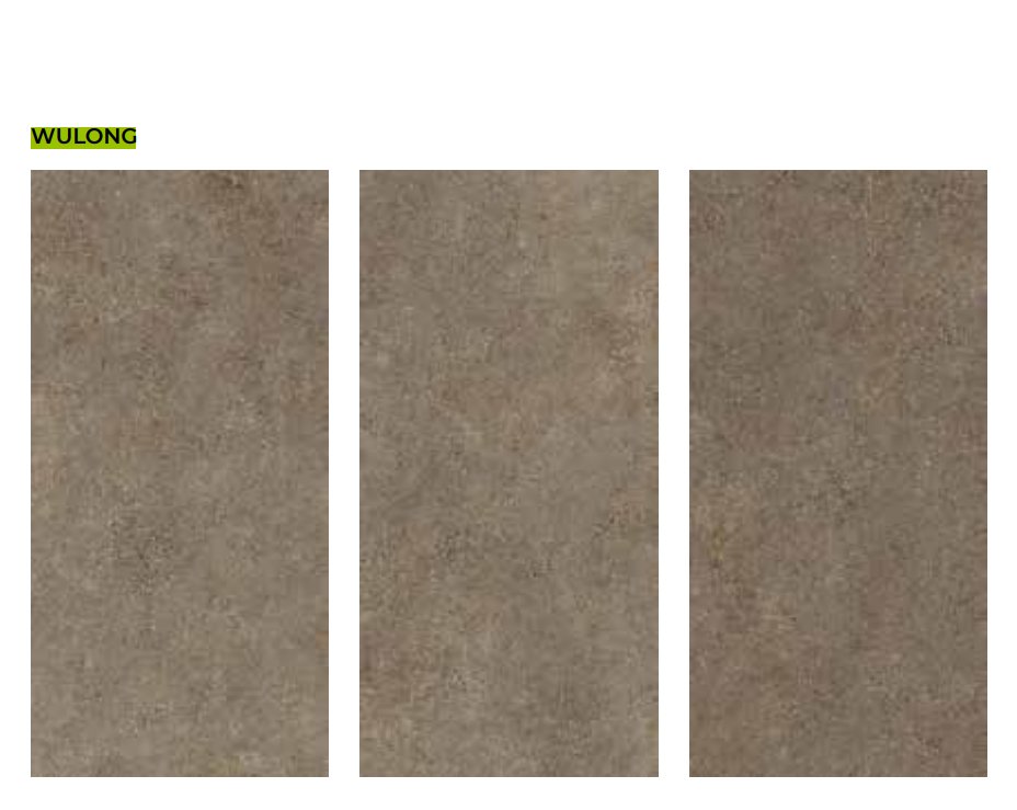 Wulong Neolith