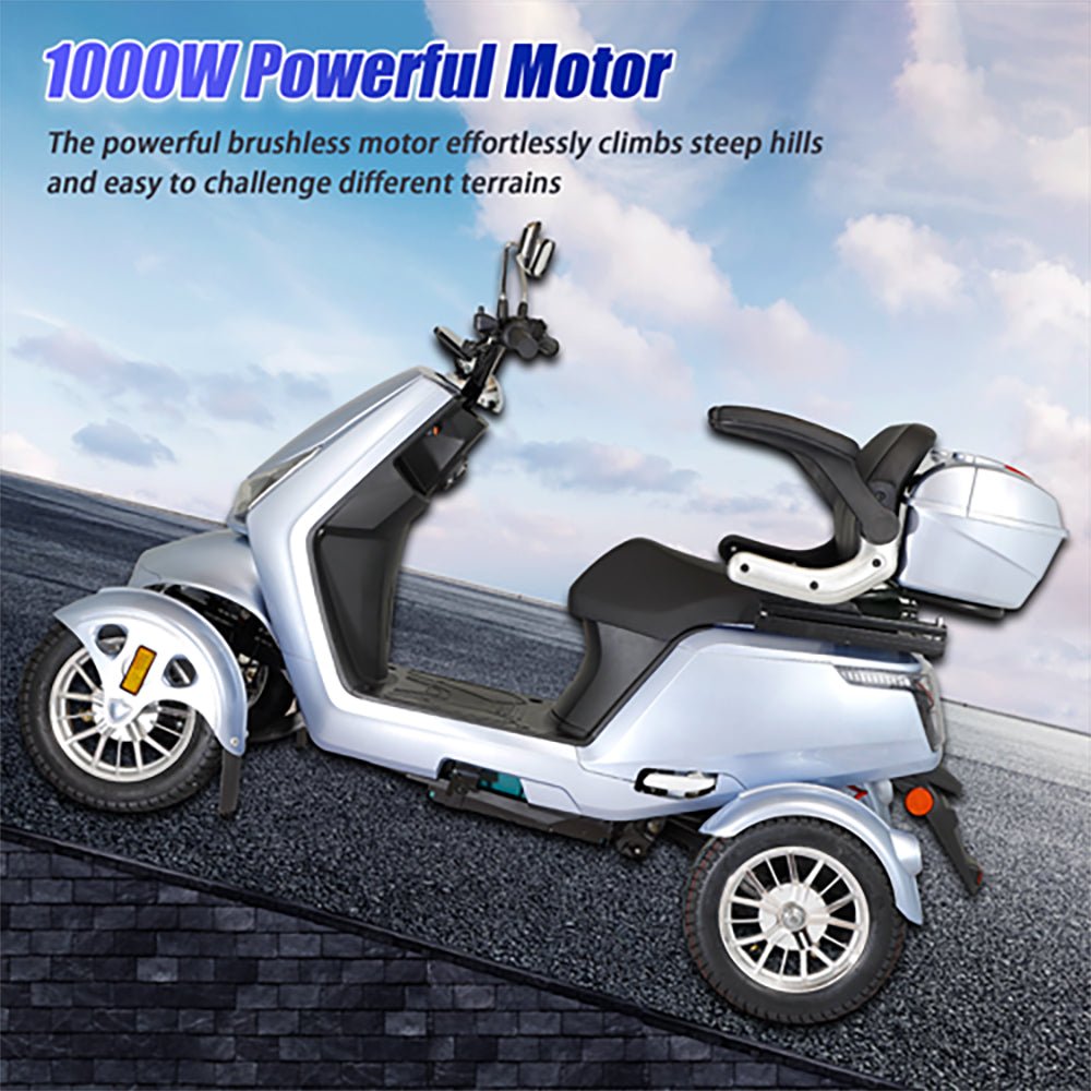 Zvg Heavy Duty 1000W 60V20AH Four Wheel All-Terrain Travel Mobility Scooter, 440LBS (SAK97245)